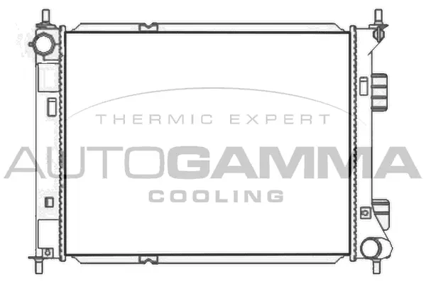 Radiator, engine cooling (107489)
