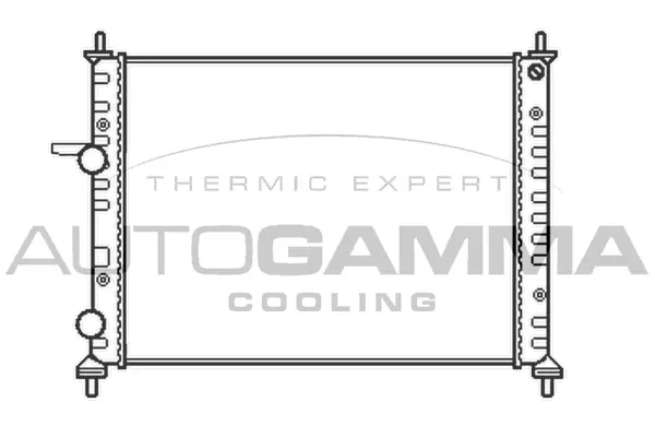 Radiator, engine cooling (102058)