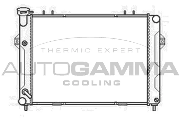Radiator, engine cooling (103665)