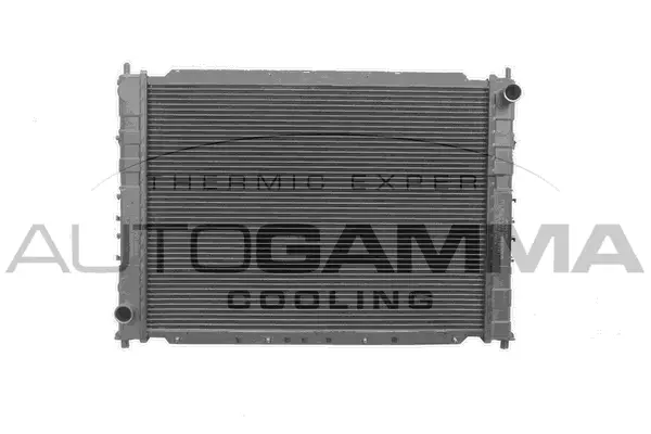 Radiator, engine cooling (102296)