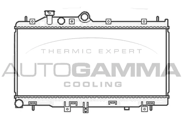 Radiator, engine cooling (105813)