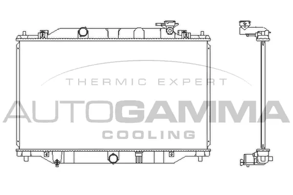 Radiator, engine cooling (107280)