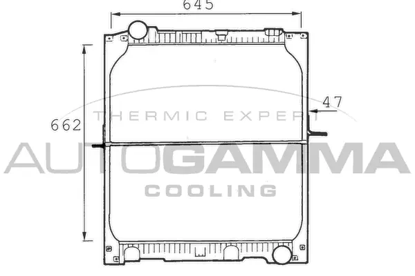 Radiator, engine cooling (401466)