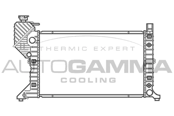 Radiator, engine cooling (103474)