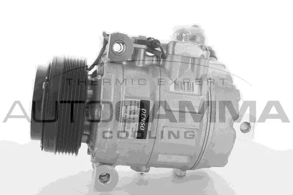 Compressor, air conditioning (118392)
