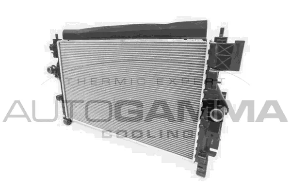 Radiator, engine cooling (107237)