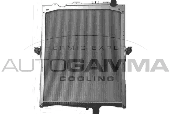 Radiator, engine cooling (405508)