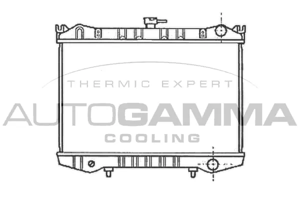Radiator, engine cooling (102186)