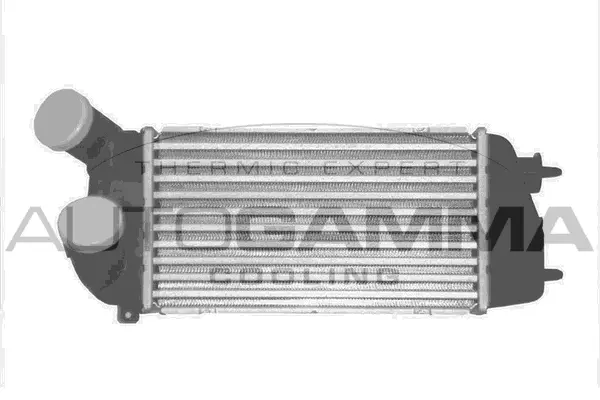 Charge Air Cooler (103122)