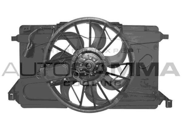 Fan, engine cooling (GA228300)
