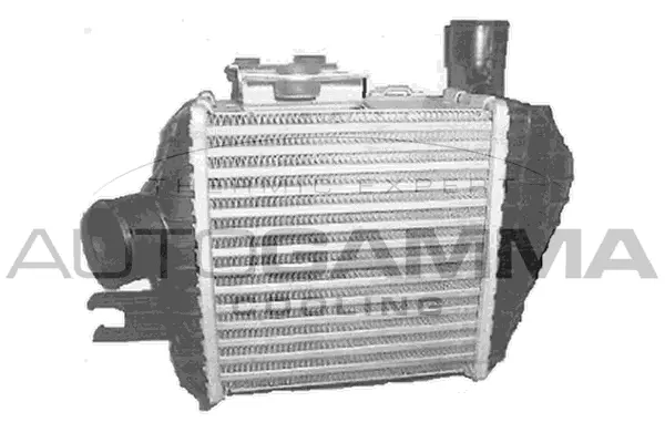 Charge Air Cooler (104940)