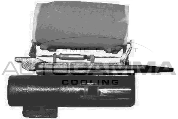 Series resistor, electric motor (radiator fan) (GA15521)