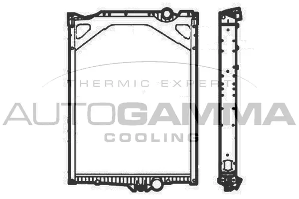 Radiator, engine cooling (404986)