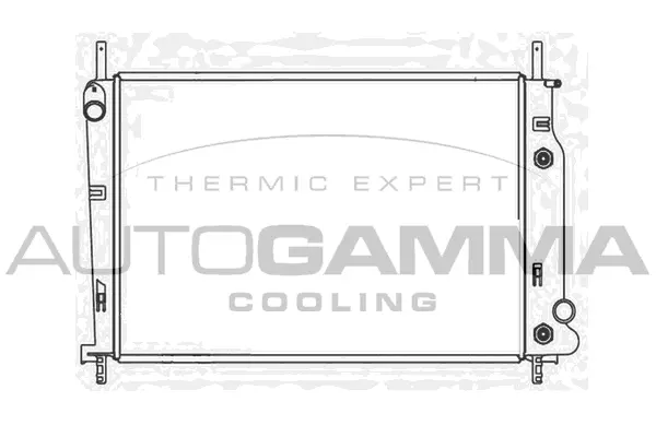 Radiator, engine cooling (102069)