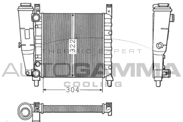 Radiator, engine cooling (100310)