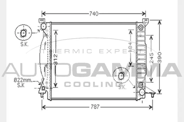 Radiator, engine cooling (104603)