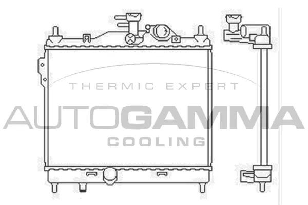 Radiator, engine cooling (103668)