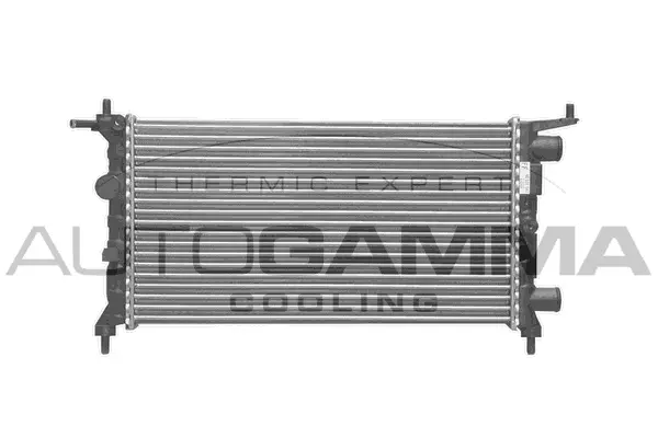 Radiator, engine cooling (101336)