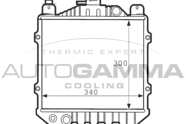 Radiator, engine cooling (100977)