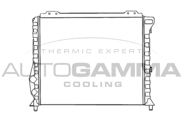 Radiator, engine cooling (100007)