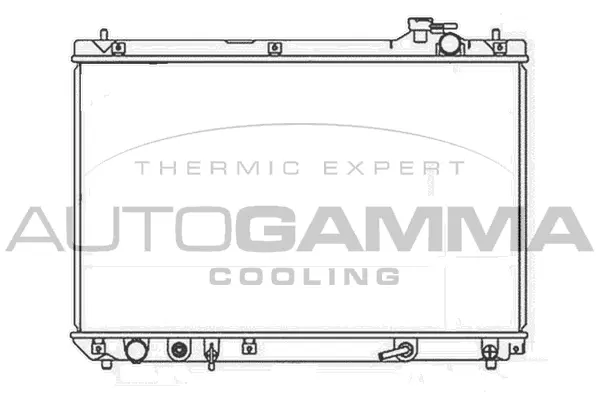 Radiator, engine cooling (105809)