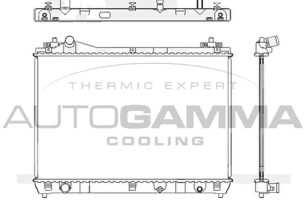 Radiator, engine cooling (105103)