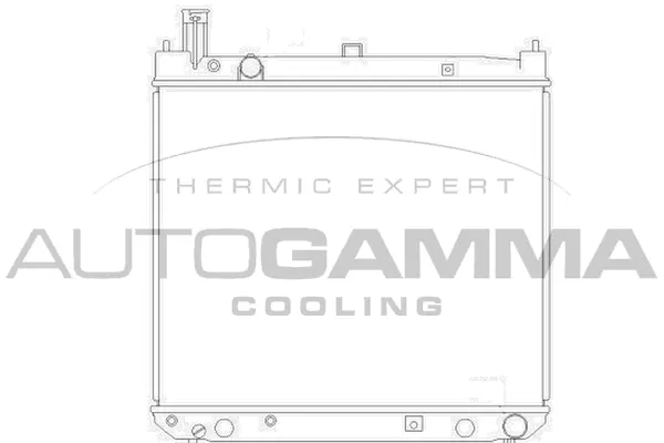 Radiator, engine cooling (104195)