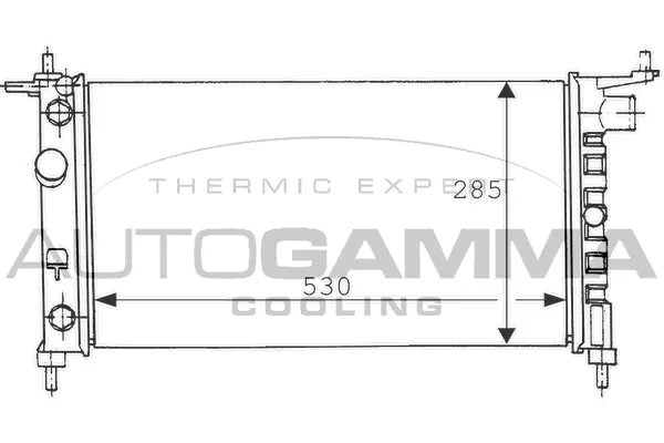 Radiator, engine cooling (100676)