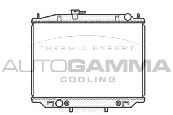 Radiator, engine cooling (102932)
