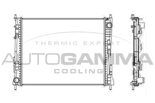 Radiator, engine cooling (104561)