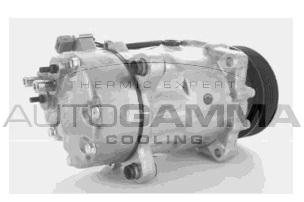 Compressor, air conditioning (108001)