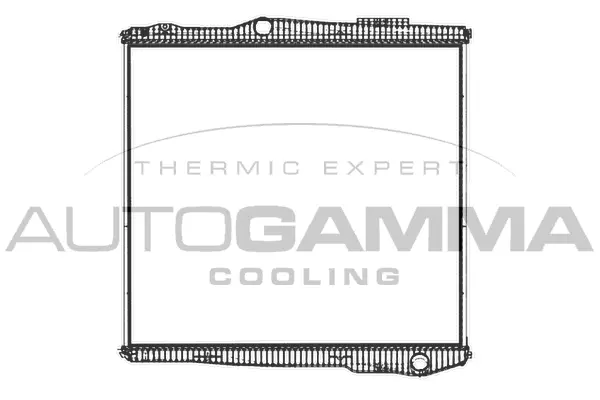Radiator, engine cooling (405492)