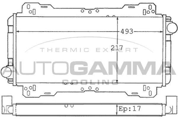 Radiator, engine cooling (100334)