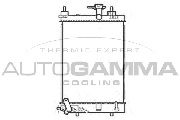 Radiator, engine cooling (107206)