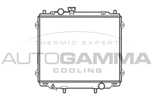Radiator, engine cooling (104078)