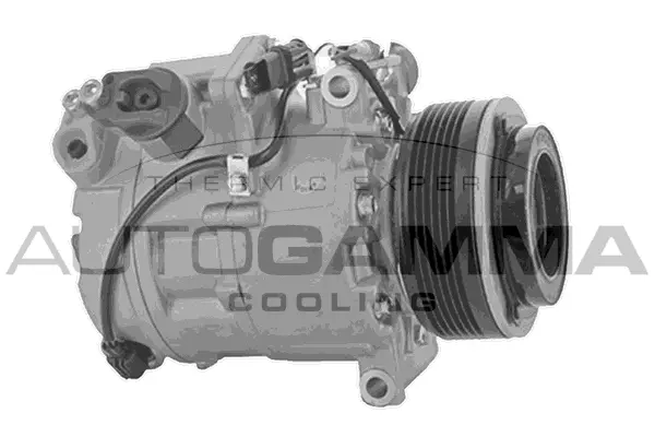 Compressor, air conditioning (118616)