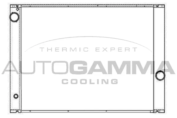 Radiator, engine cooling (105531)