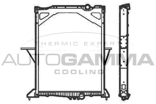 Radiator, engine cooling (404988)