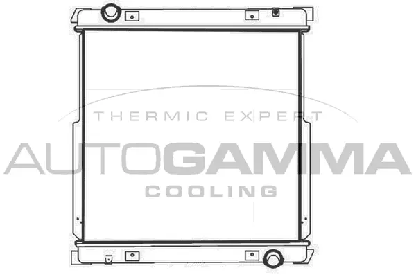 Radiator, engine cooling (404910)