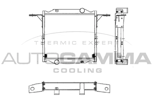 Radiator, engine cooling (401048)