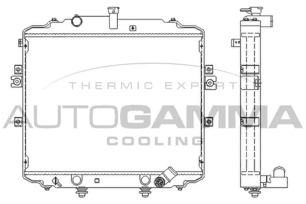 Radiator, engine cooling (105793)