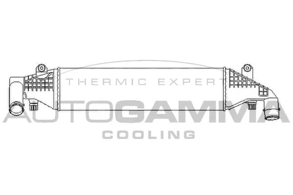 Charge Air Cooler (107486)