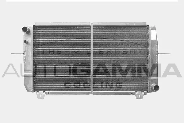 Radiator, engine cooling (100377)