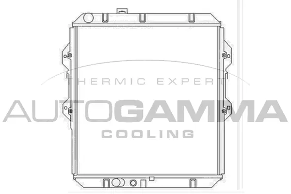 Radiator, engine cooling (104163)