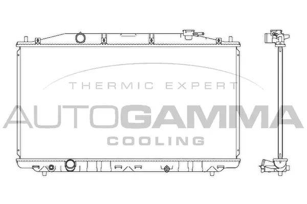 Radiator, engine cooling (107445)