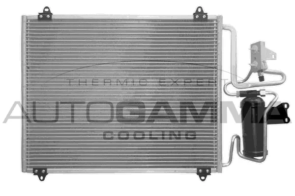 Condenser, air conditioning (101813)