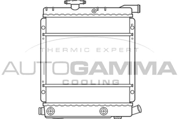 Radiator, engine cooling (100140)