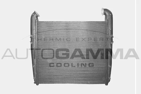 Charge Air Cooler (400338)
