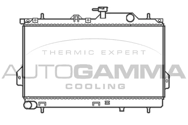 Radiator, engine cooling (103703)