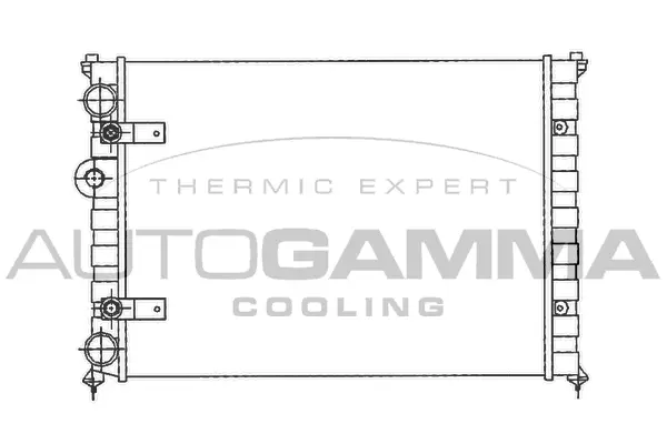 Radiator, engine cooling (100956)